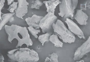 osteobiol_gen_os_microscope1