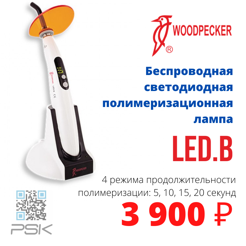 Лампа Woodpecker LED.B
