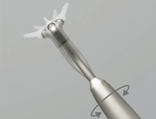 perio-04.png perio-04.png