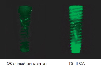 ts_ca_adv_2_1 - Copy 1.jpg