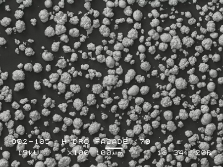 Чистящий порошок NSK FLASH pearl 100x15гр